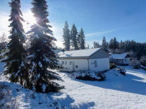 Holiday Home Saarland by Interhome